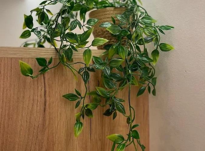 酒店 Sunbeam Kardamena (Kos)