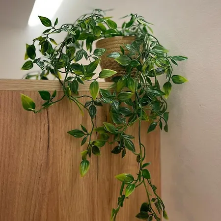 Отель Sunbeam Kardamena (Kos)