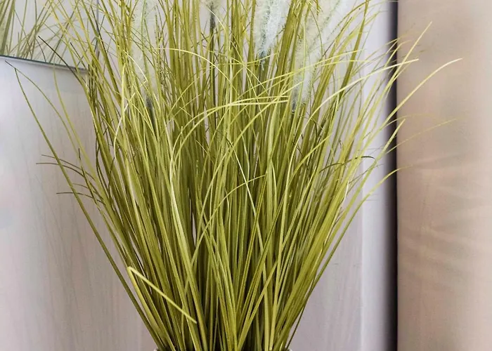 Hotel Sunbeam Kardamena (Kos)